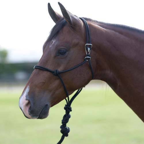 Professionals Choice Easy On Rope Halter-Mini-Multiple Colours - Irvine Tack &amp; Western Wear