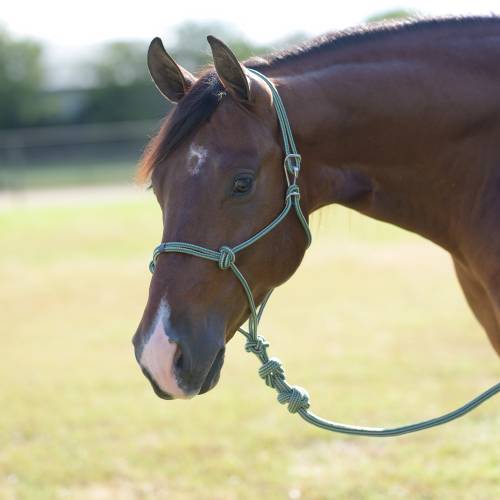 Professionals Choice Easy On Rope Halter-Mini-Multiple Colours - Irvine Tack &amp; Western Wear