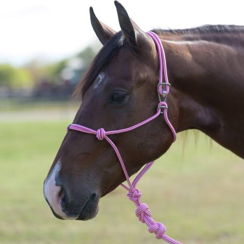 Professionals Choice Easy On Rope Halter-Mini-Multiple Colours - Irvine Tack &amp; Western Wear