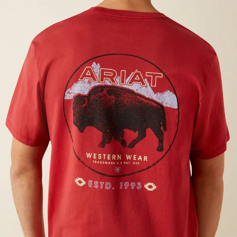 Ariat Men's Short Sleeve Patriot Buffalo Coin Tee Shirt - Brick Red