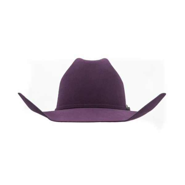 ProHat Wool Felt Precreased Western Hat - Cheyenne Grape