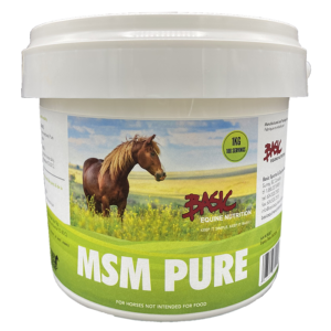 Basic Equine MSM Pure 1KG