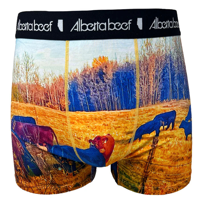 Berta Beef Men's Underwear The Other Guys - Yellow/Blue
