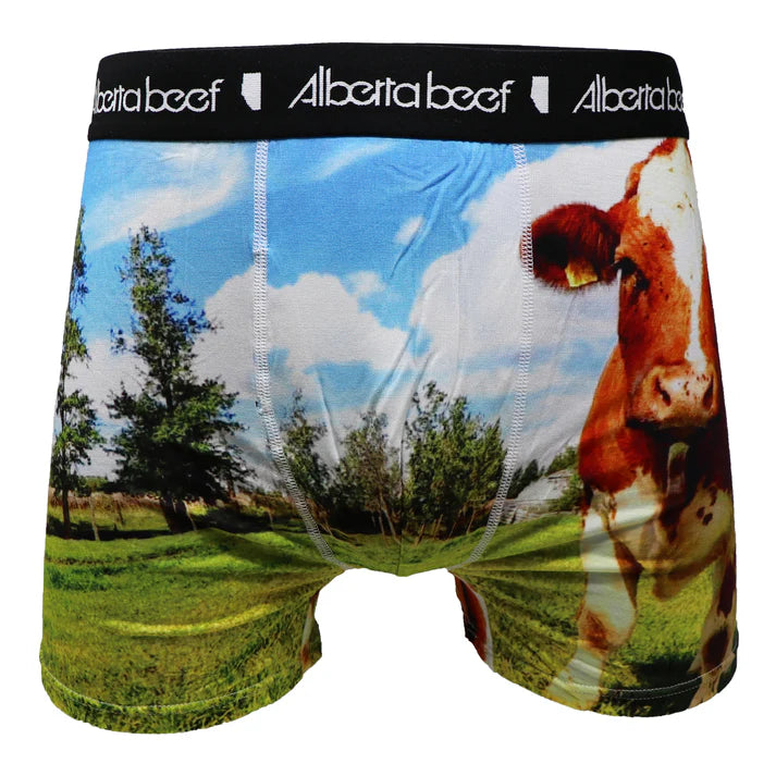 Berta Beef Men's Underwear Daisy - Multicoloured