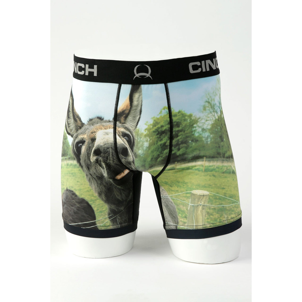 Cinch Men's 6" Donkey Boxer Briefs - Multi