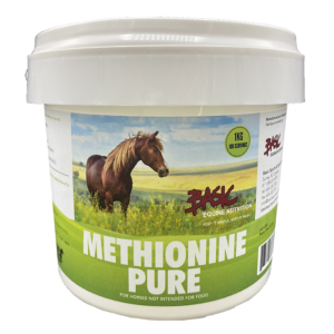Basic Equine Methionine - 1kg
