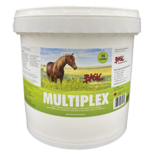 Basic Equine Multiplex 2kg