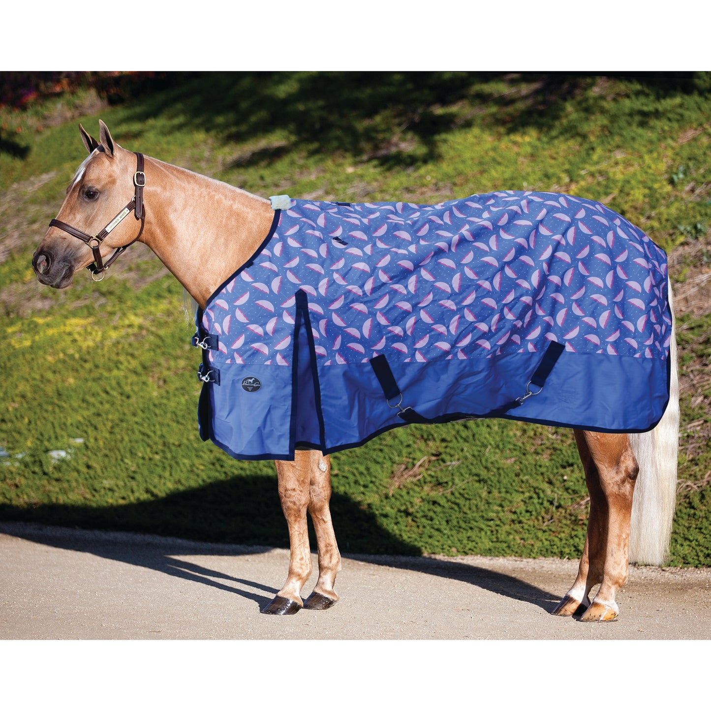 Professional's Choice Pony Rain Sheet