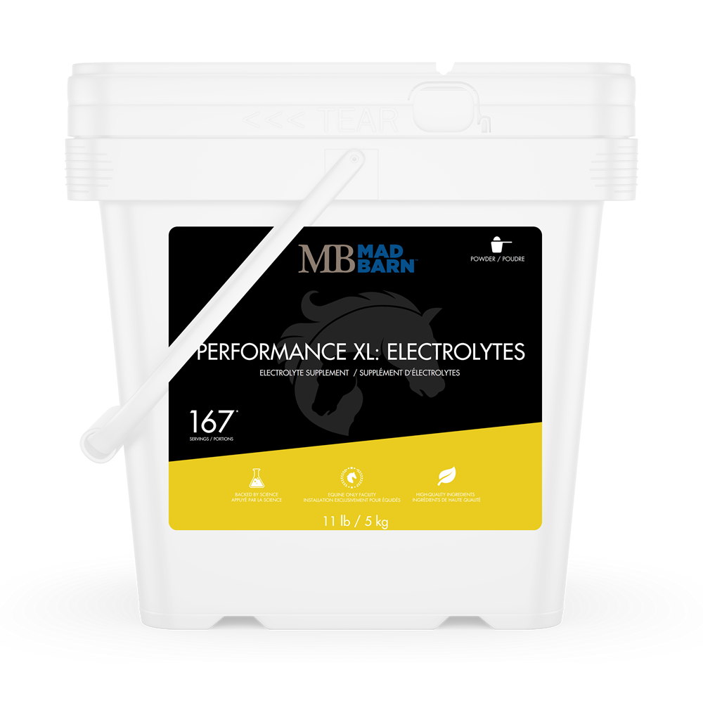 Mad Barn Performance XL Electrolytes