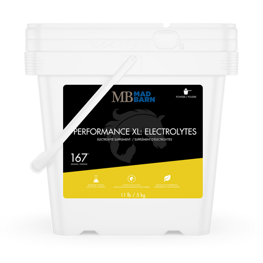 Mad Barn Performance XL Electrolytes