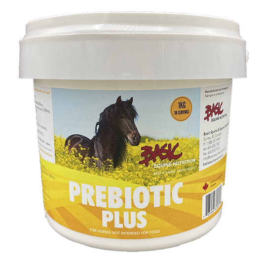 Basic Equine Pre-Biotic Plus - 1kg