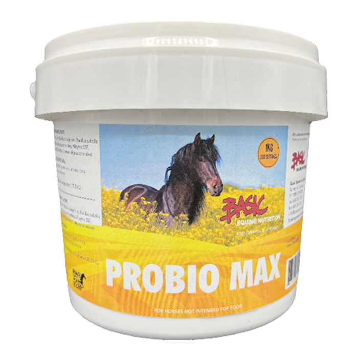 Basic ProBio Max 1 KG