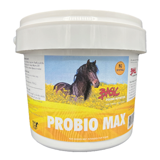 Basic ProBio Max 1 KG