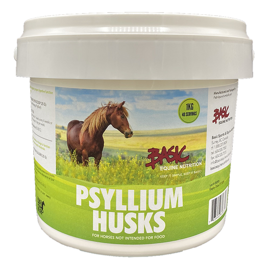 Basic Equine Psyllium Husks 1KG - Irvine Tack & Western Wear