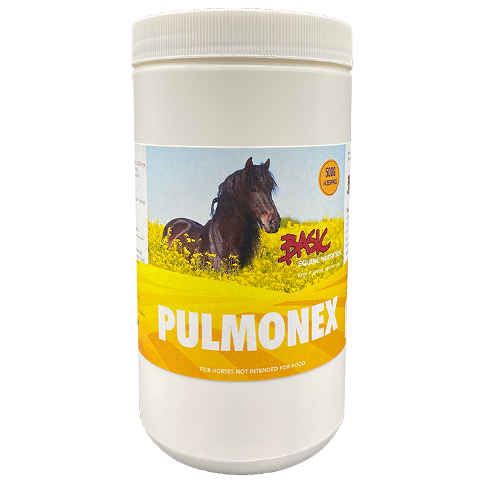 Basic Equine Pulmonex - 1kg