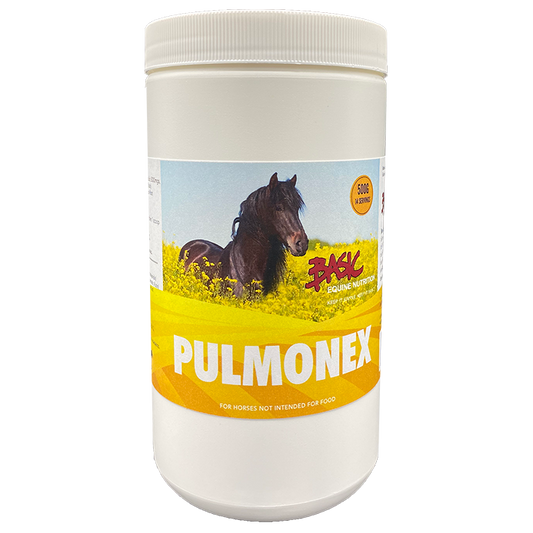 Basic Equine Pulmonex