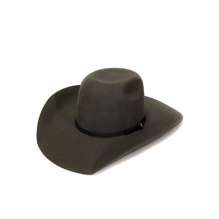 Resistol 4X Hooey  Day Money Felt Cowboy Hat