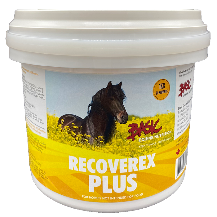 Basic Equine Recoverex Plus 500g