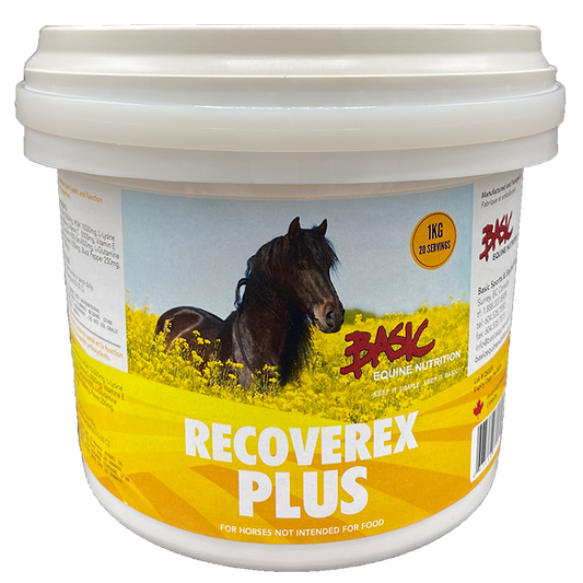 Basic Equine Recoverex Plus