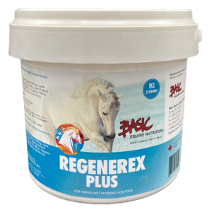 Basic Equine Regenerex Plus 1KG