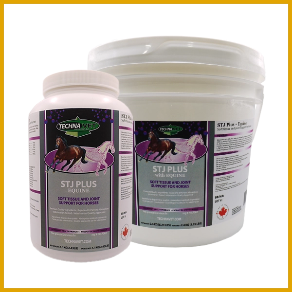 Techna Vet STJ Plus Equine - Irvine Tack &amp; Western Wear