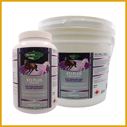 Techna Vet STJ Plus Equine