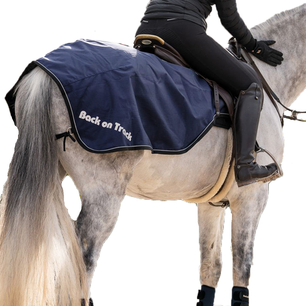 Back on Track Sammy Exercise Rug