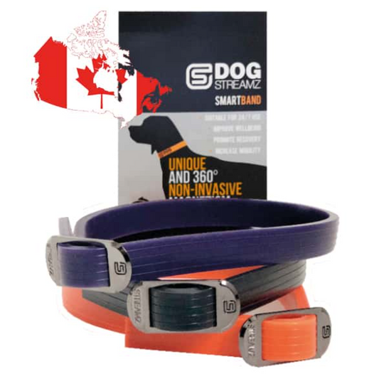StreamZ Magnetic Dog Collar