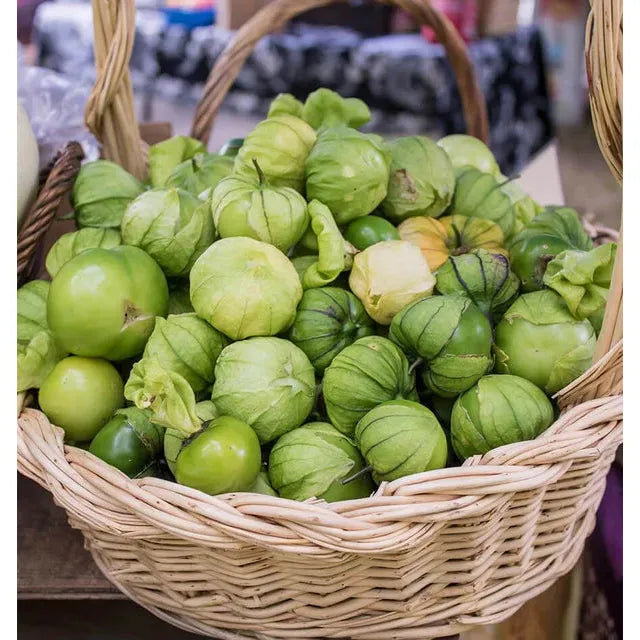 West Coast Seeds - Vegetable Seeds - Toma Verde Tomatillo  0.1 g
