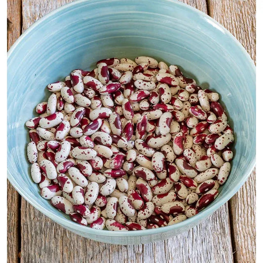 West Coast Seeds - Jacob's Cattle Bean - Organic   15g