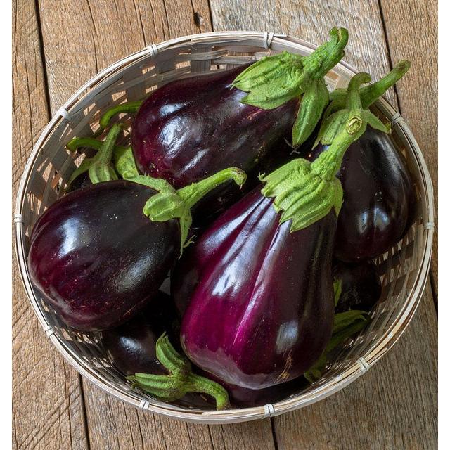 West Coast Seeds Eggplants - Black Beauty Organic  0.25g