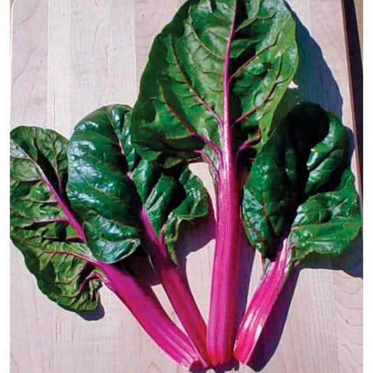 West Coast Seeds Vegetable - Swiss Chard - Magenta Sunset  2g