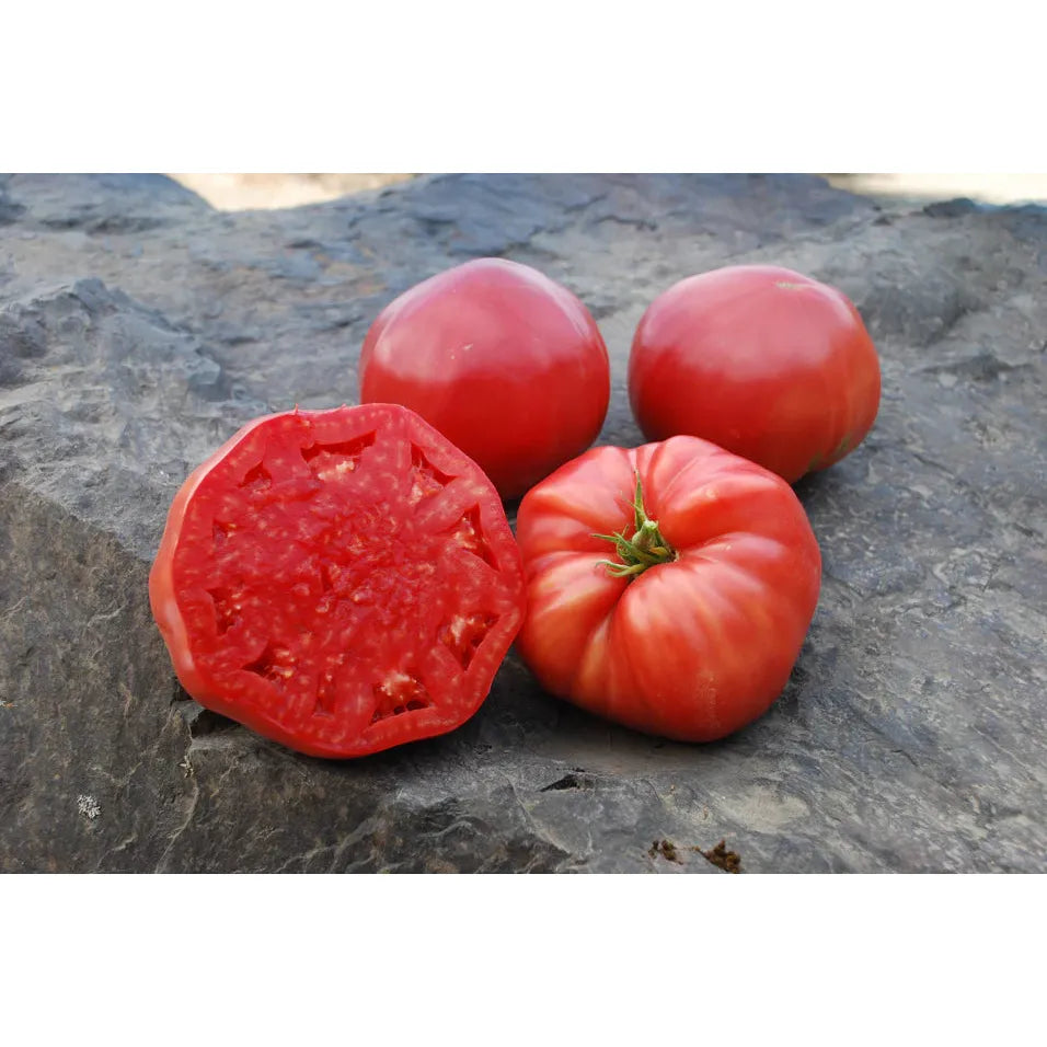 West Coast Seeds Vegetable - Tomatoes - Mortgage Lifter Organic  50 Seeds