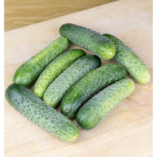 West Coast Seeds Cucumbers - Artist Gherkin F1 Coated  250 Seeds