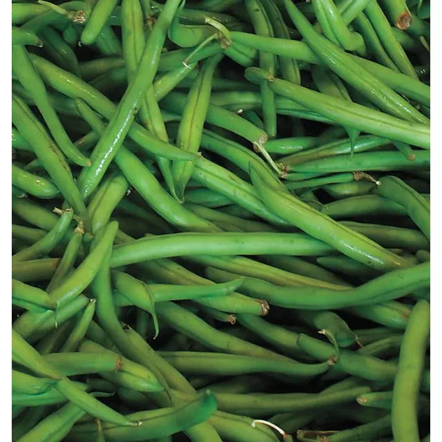 West Coast Seeds Beans - Blue Lake 20g