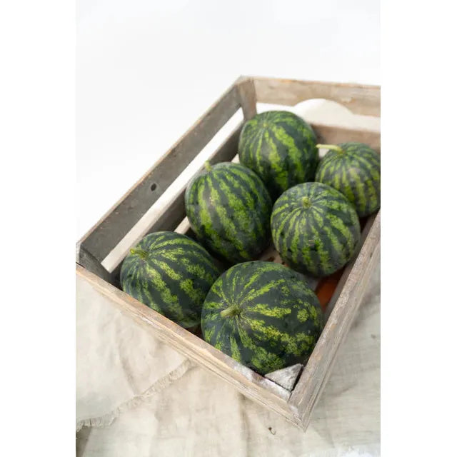 West Coast Seeds Vegetable Seeds - Watermelons - Mini Mike  5 Seeds