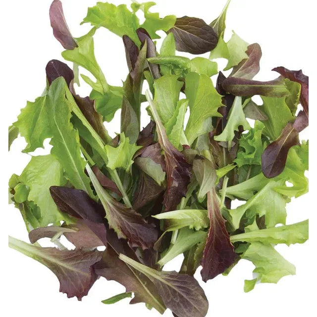 West Coast Seeds - Vegetable Seeds - Fast & Furious Blend  Organic  500 Seeds