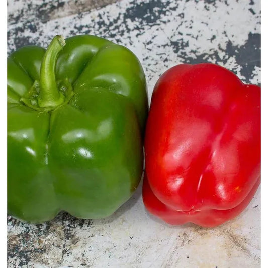 West Coast Seeds Vegetable - Pepper-Sweet - California Wonder  0.25g