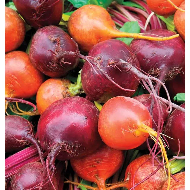 West Coast Seeds Beets - Beet Blend 5g