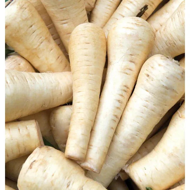 West Coast Seeds Vegetable - Parsnips - Gladiator F1   1g