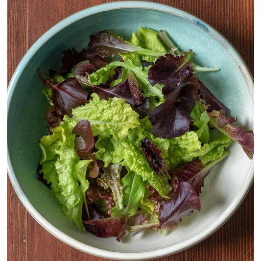 West Coast Seeds Vegetable Seeds - Lettuce - City Garden Pelleted  125 Pellets