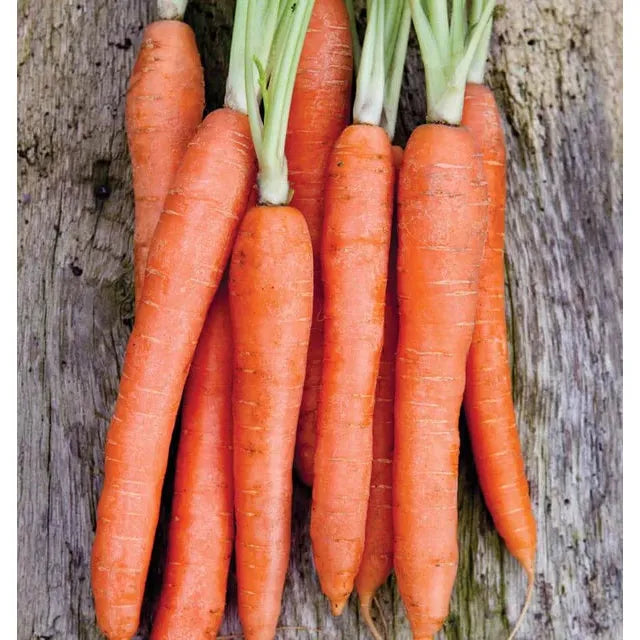 West Coast Seeds Carrots - Nantes Coreless  0.75g