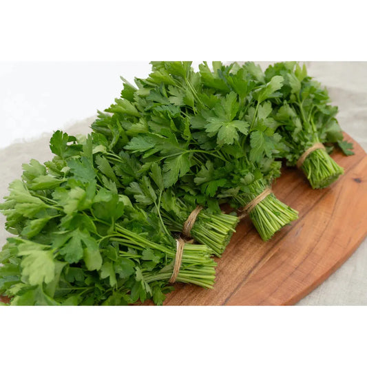 West Coast Seeds Vegetable - Parsley - Laica Organic  1g