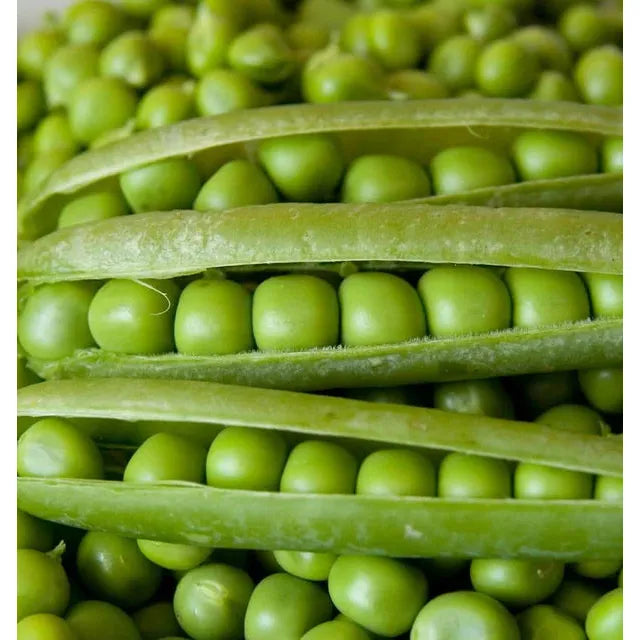 West Coast Seeds Vegetable Seeds - Peas - Alderman (Tall Telephone)  225g