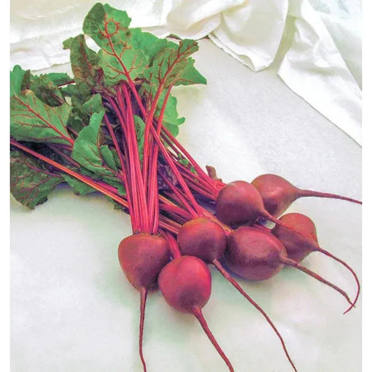 West Coast Seeds Beets - Detroit Supreme 5g