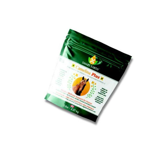 Camelina Plus Gastric Wellness-5LB