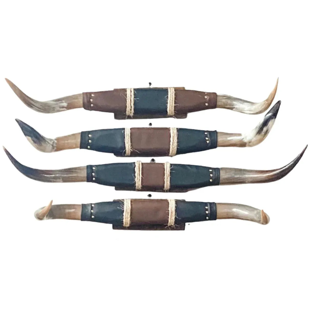 El Paso Polished Mounted Horns