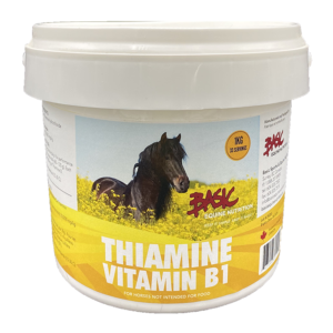 Basic Equine Thiamine B1 1KG
