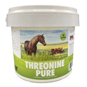 Basic Equine Threonine - 1kg