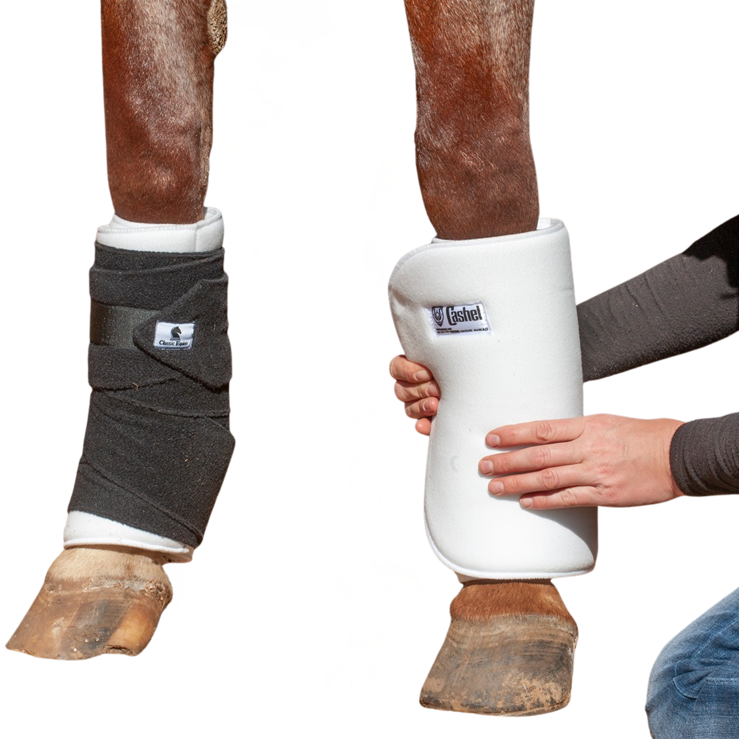 Cashel No Bow Bandage